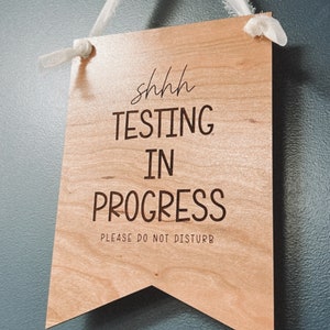 Testing Sign// Classroom Do Not Disturb Sign// Classroom Testing Sign