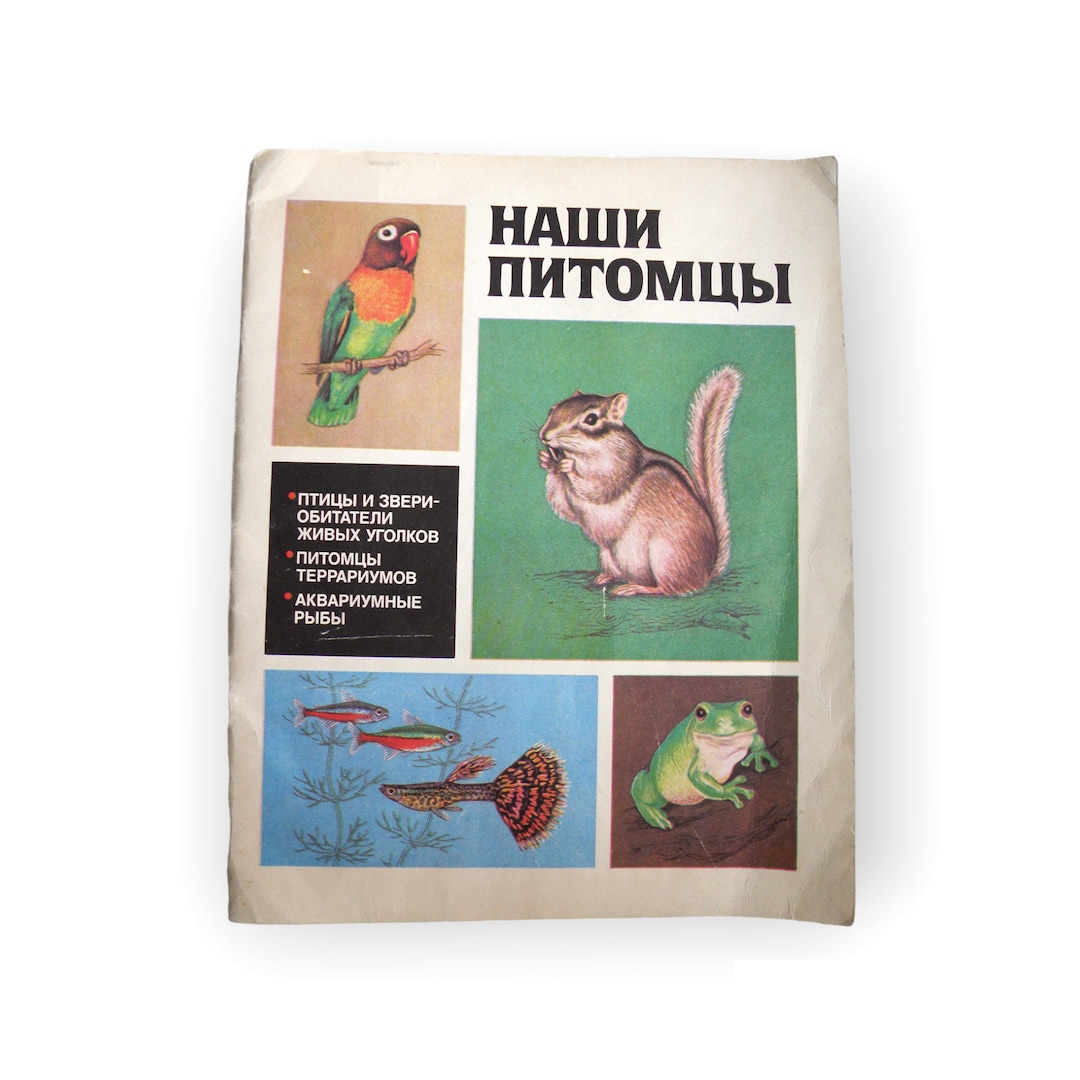 Vintage Book About Pets in Russian Our Pets Soviet Book - Etsy