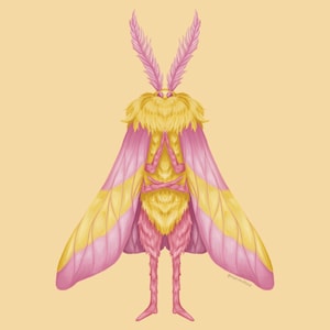 Rosy Maple Moth (large), an art print by Lo Rae Creates - INPRNT