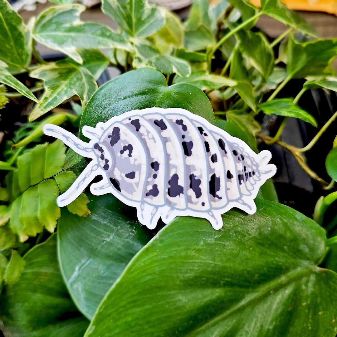 Dairy Cow Isopod Stickers | Isopod, Roly-poly | Hand-made Waterproof ...