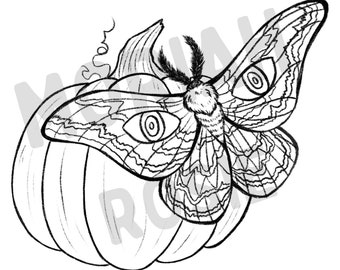 Moth Pumpkin Printable Coloring Page | Halloween Fall Activity Page | Original Art Digital Download