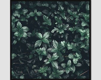 Leaves Photography Print, Green, Plants, Printable Art Instant Download 16" x 16"