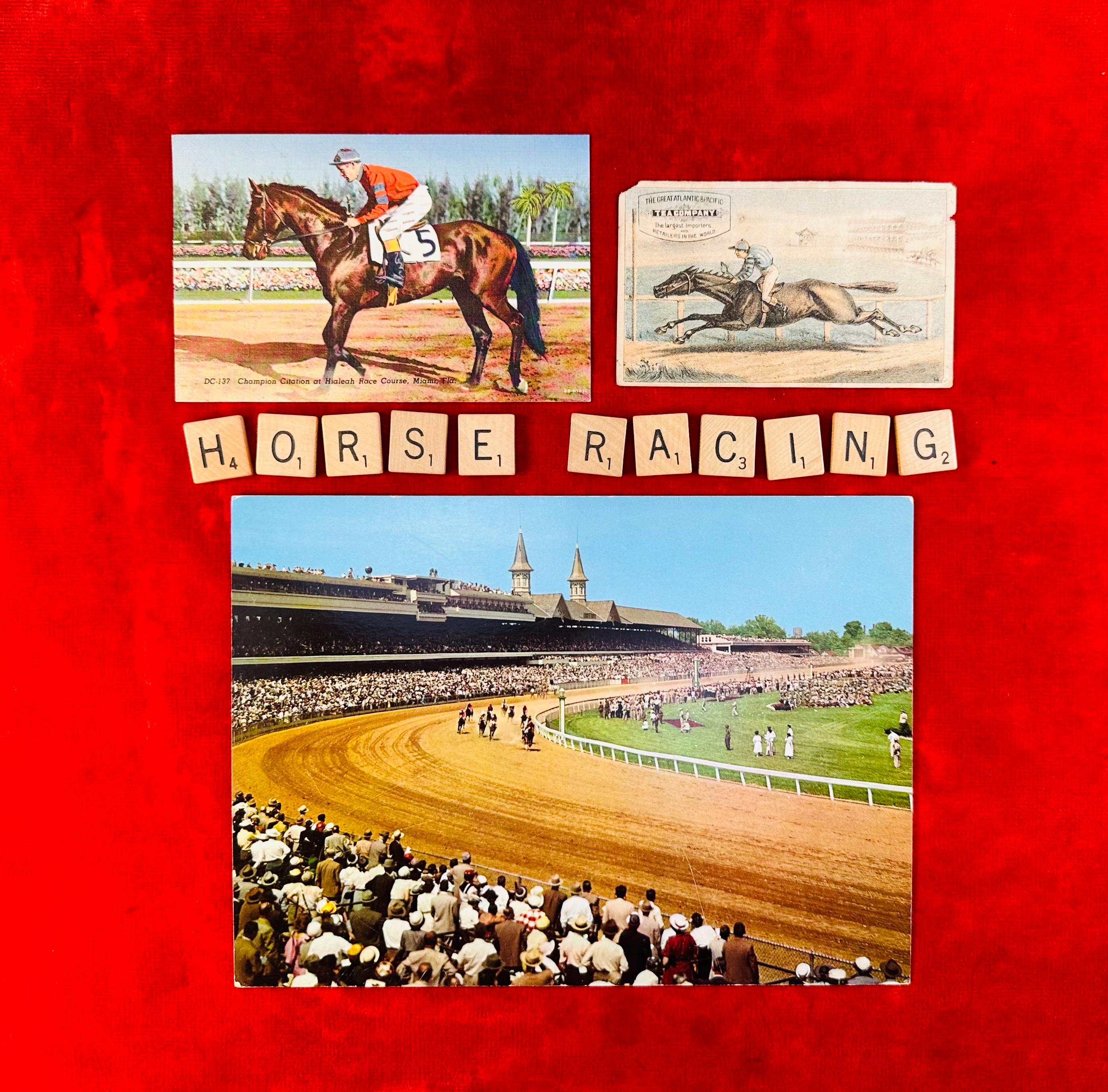 Race Horse Trading Cards - Etsy