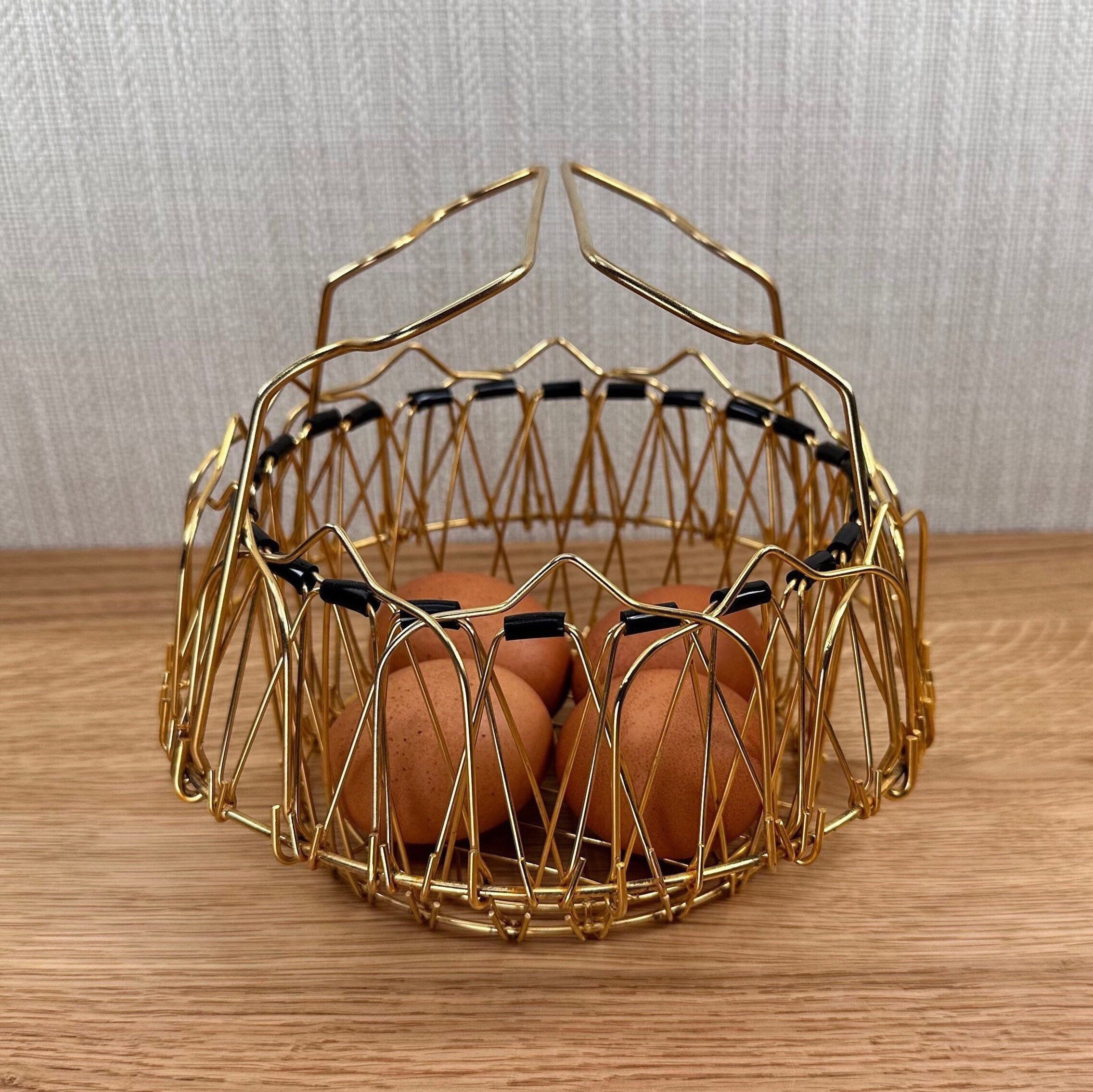 Old Metal Wire Basket Collapsible Eggs Fruit Storage Fishing 