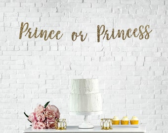 Prince or Princess Banner, Gender Reveal Banner, He or She Banner, Boy or Girl Banner, Baby Photo Prop, New Baby, Baby Sprinkle