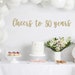 Cheers to 30 Years Banner, 30th Birthday Party, 30th Anniversary, 30th Birthday Sign, 30th Birthday Decor, Glitter Banner, 30th Party Banner 