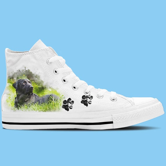 Shoes for labrador 2025