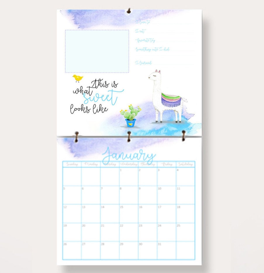 Llama Calendar Baby's First Year, Landmarks Stickers, Cute Baby ...