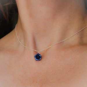 Puede incluir: Un collar de cadena plateada delicada con un pequeño colgante de rosa azul oscuro. El colgante tiene forma de flor en floración con pétalos en capas, suspendido de una cadena de metal plateado pulido y fino que descansa alrededor del cuello.