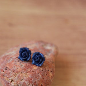 May include: A pair of dark blue rose-shaped stud earrings on a red-brown stone.