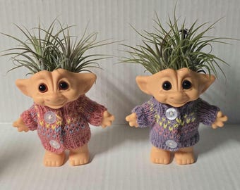 Troll Air Planter Tillandsia, Iona Double Air Plants