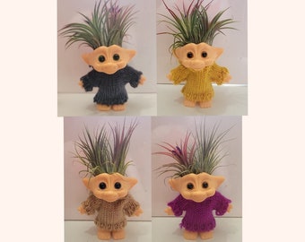 Troll Air Planter Tillandsia, Iona Double Air Plants