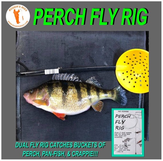 Perch Fly Rig 