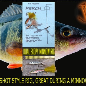 Perch Minnow Rig