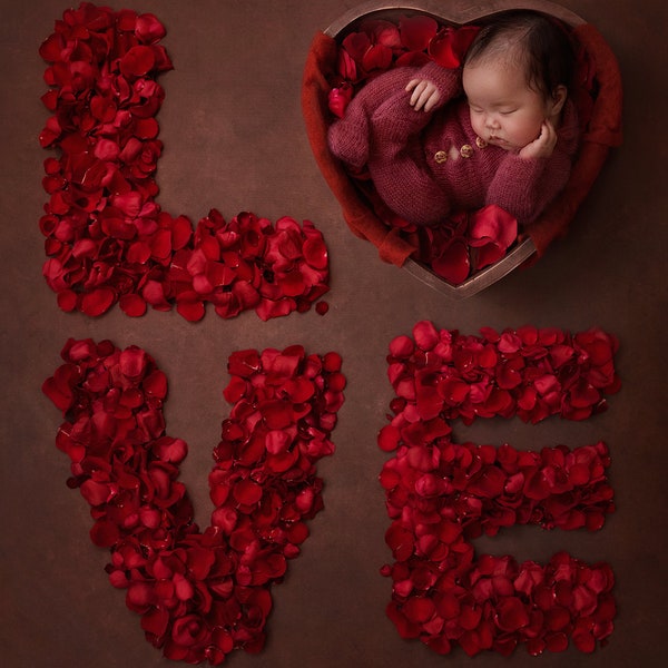 Red LOVE Rose Petal Heart Digital Backdrop Background Newborn Boy Girl - Overhead Brown Curls Fluff Fur Blanket Bowl Prop