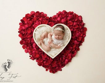 Red Rose Petal Heart Digital Backdrop Background Newborn Boy Girl - Overhead White Curls Fluff Fur Blanket Bowl Prop