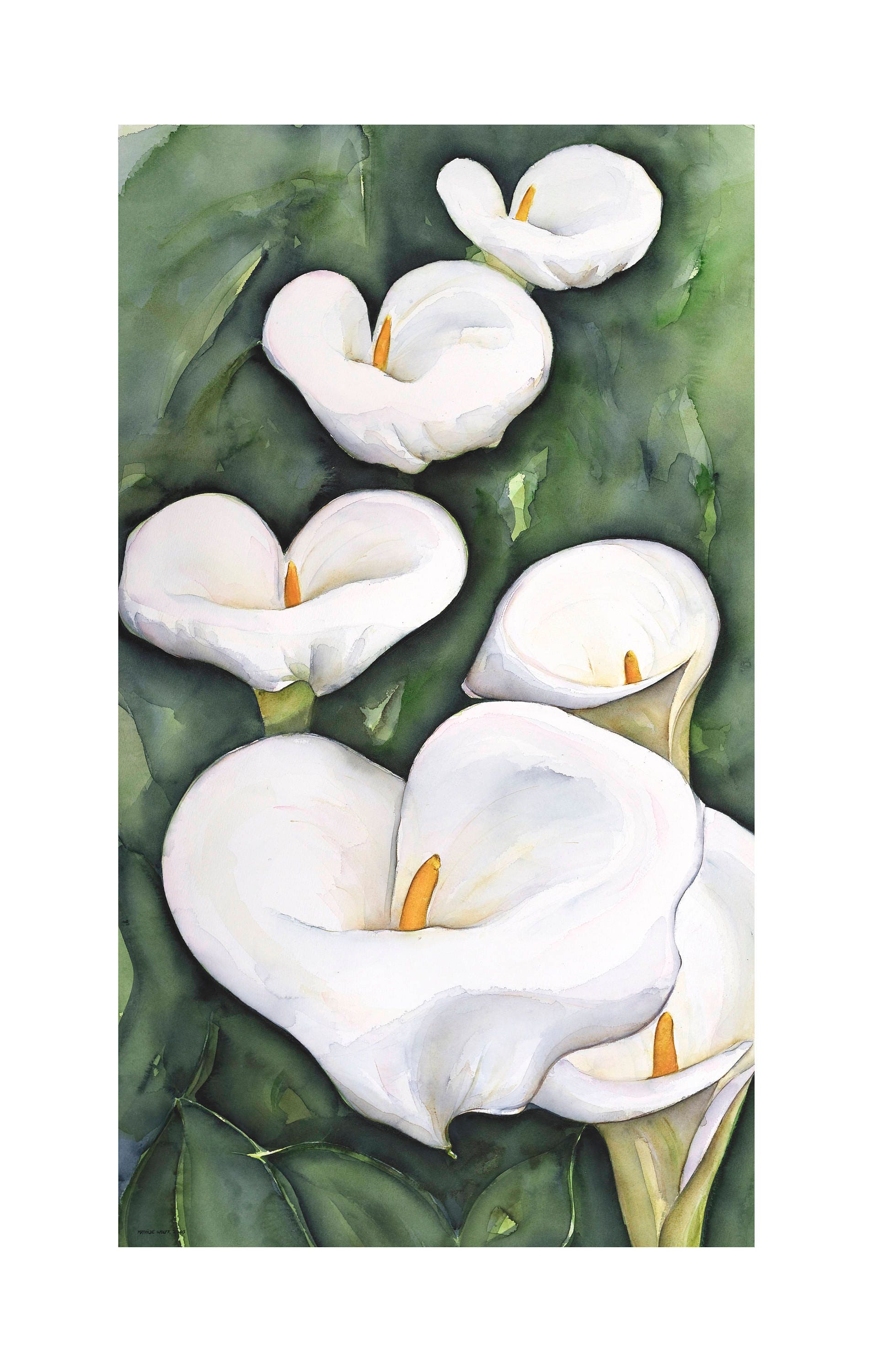 Arums Art Print 110x70 Cm Numbered and Signed. Made From My - Etsy