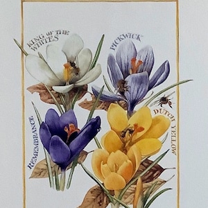 マージョリン・バスティンによるペーパークラフト用の花、鳥、蜂のイラスト