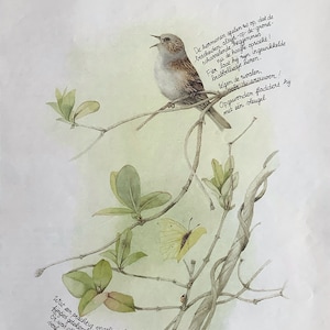 Kit de artesanato em papel, 10 páginas Nature de Marjolein Bastin para diários de lixo, scrapbook, criação de cartões, itens efêmeros e colagens