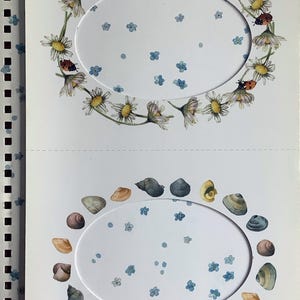 Cadre pour papier cartonné Passe-Partout vintage avec marguerites, coccinelles et coquillages par Marjolein Bastin