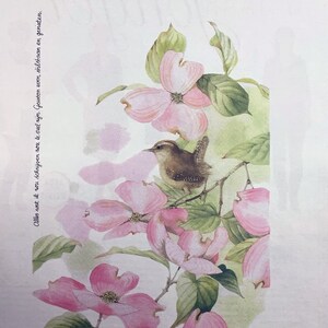 Kit de artesanato em papel, 10 páginas Nature de Marjolein Bastin para diários de lixo, scrapbook, criação de cartões, itens efêmeros e colagens