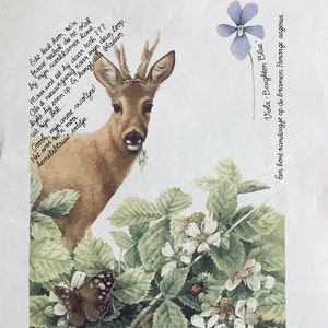 Kit de artesanato em papel, 10 páginas Nature de Marjolein Bastin para diários de lixo, scrapbook, criação de cartões, itens efêmeros e colagens
