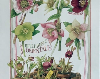 Floral Illustrations by Marjolein Bastin for Paper Crafting
