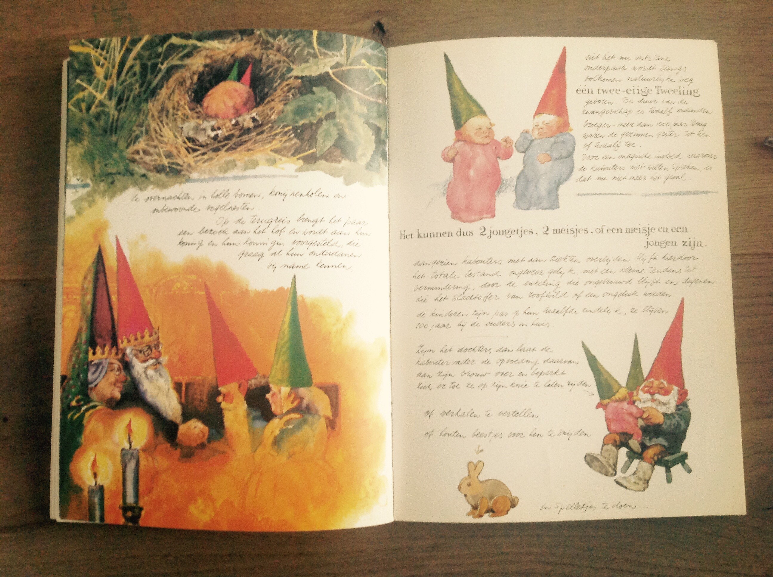 Life and Works of the Gnome / Leven En Werken Van De Kabouter Part 1 by