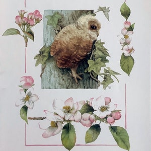 赤ちゃんフクロウと桜のイラスト マージョリン・バスティン
