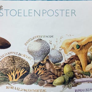 Vintage Pilz Poster von Marjolein Bastin