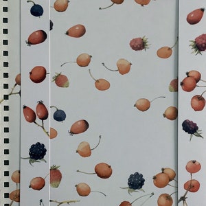 Vintage Pas Partout Kartonrahmen mit Kirschen und Beeren von Marjolein Bastin