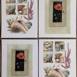 Ensemble de quatre cartes postales florales vintage par Marjolein Bastin