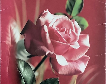 Liebesbriefe, Vintage Rosen Briefpapier Set mit rot gefütterten Umschlägen