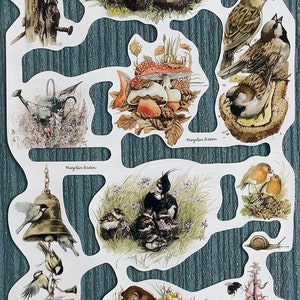 Page d'illustrations naturelles découpées par Marjolein Bastin