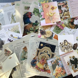 Confezione conveniente di carte vintage ed oggetti effimeri: illustrazioni di Marjolein Bastin per la creazione di carta