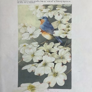 Kit de artesanato em papel, 10 páginas Nature de Marjolein Bastin para diários de lixo, scrapbook, criação de cartões, itens efêmeros e colagens