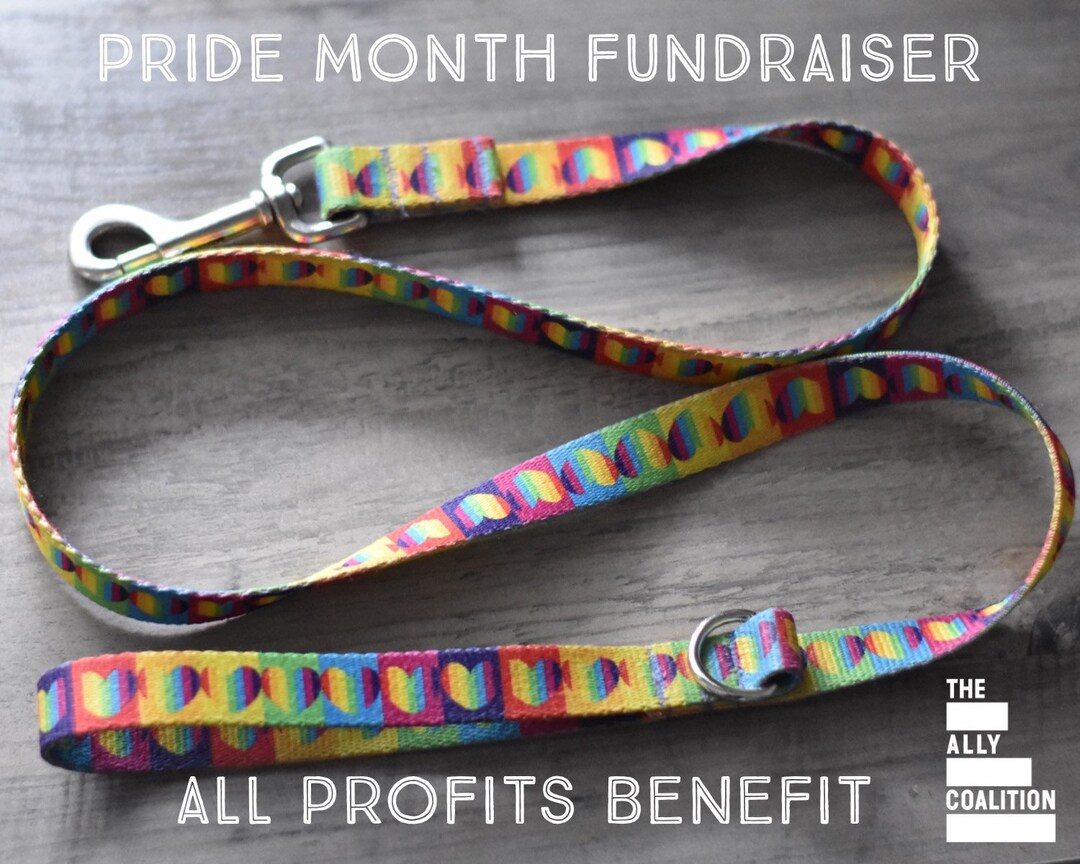 Rainbow Leash, Rainbow Dog Leash, Pride Month Leash, Pride Month Dog