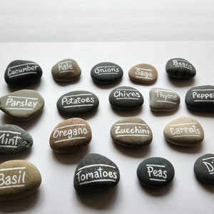 Custom Painted Rock Garden Markers: Vegetable Herb Plant Labels - Etsy