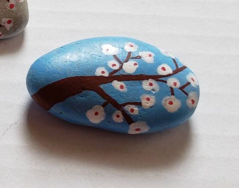 Cherry Blossoms Painted Rocks