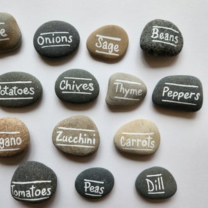 Custom Painted Rock Garden Markers: Vegetable Herb Plant Labels - Etsy