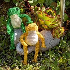Florati Frog - Crochet Amigurumi Pattern SPANISH