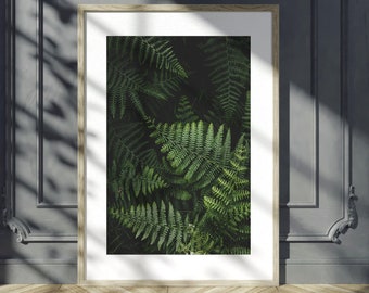 Green Fern Photographic Print: Woodland Botanical Wall Art