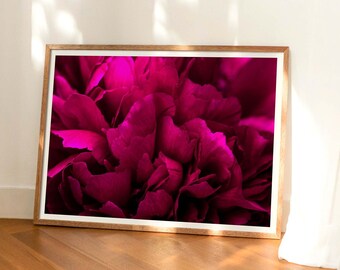 Magenta Peony Print: Vibrant Pink Floral Photography, Botanical Wall Art