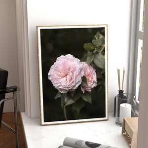 Pink Roses Wall Art, Floral Prints, Pink Flower Print, Floral Wall Art, Botanical Wall Art, Pretty Decor, English Roses, Living Room Decor