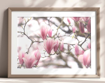 Magnolia Blossom Photography Print: Blush Pink Spring Wall Art