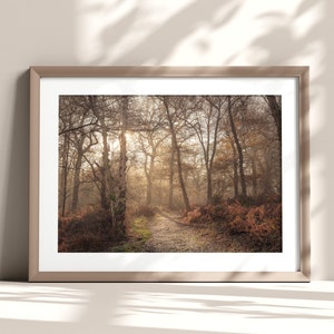 Woodland Landscape Print, Tree Photography Wall Art, Autumn Nature Print, British Countryside Wall Art, Relaxing Decor, Living Room Art