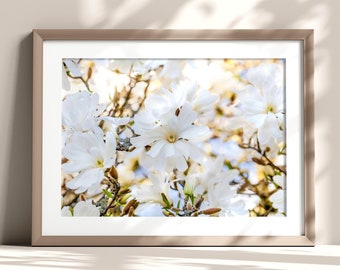 White Magnolia Print, Floral Blossom Wall Art, Living Room Wall Art, Flower Photography, White Floral Art, Botanical Wall Art, Pretty Decor