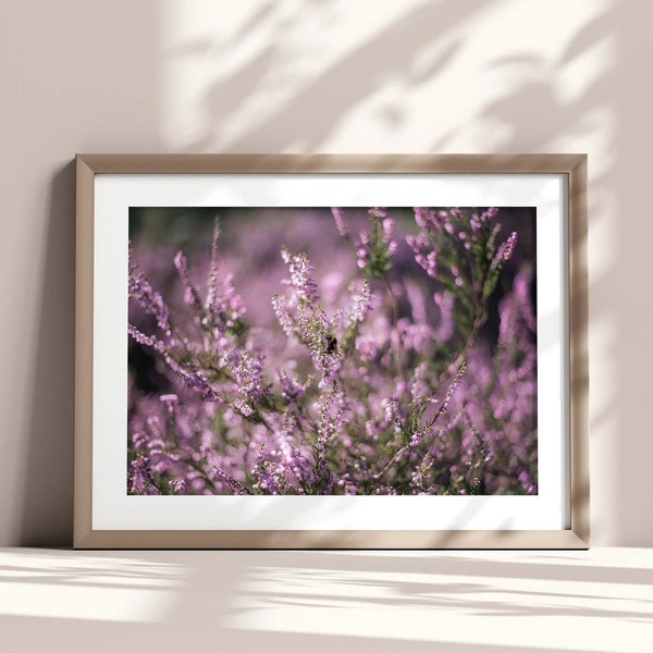 Heather Flower Photography Print, Purple Flowers, Original Floral Landscape Print, Natural Botanical Wall Art, Pretty Purple Decor