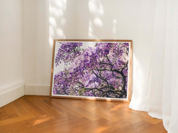 Wisteria Wall Art, Purple Flower Photo, Spring Flowers Print, Botanical Wall Art, Pretty Decor, Purple Wall Art, Purple Bedroom Print