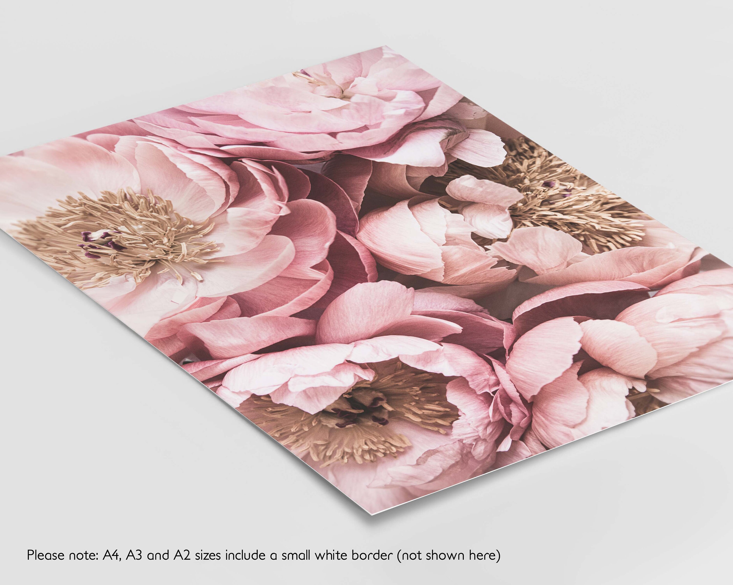 Pink Floral Print Set of 3, Pink Peonies Wall Art, Flower Prints ...